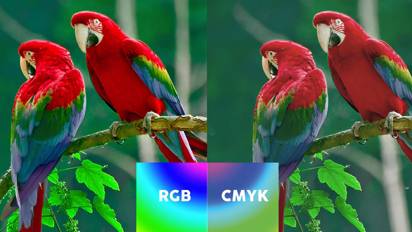 Различия изображений в RGB и CMYK
