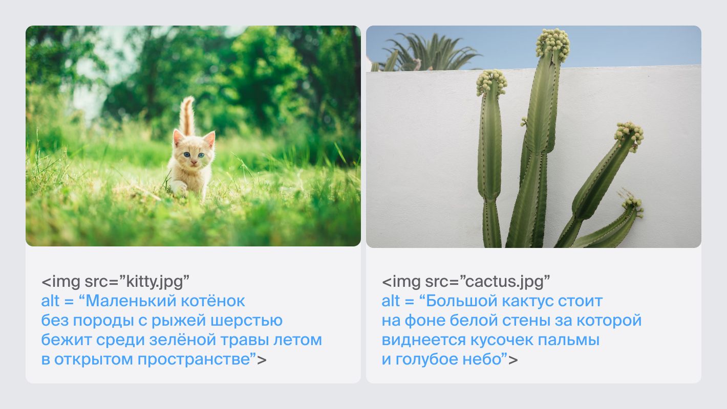 На картинке — два примера с альт-текстами. Сверху — две картинки. Слева — с котёнком, справа — с кактусом. Под ними альт-текст. 